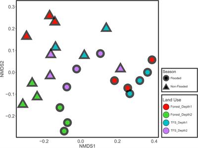 Molecular evidence for stimulation of methane oxidation in Amazonian floodplains by ammonia-oxidizing communities